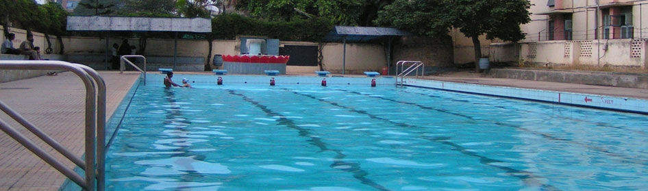 Swim Life