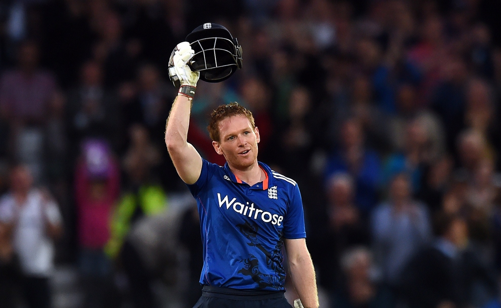 Most Sixes in an Innings in ODI