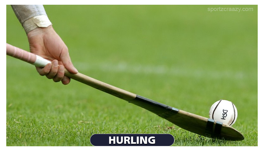 Hurling – An Ancient Team Game | History, Rules and How to Play