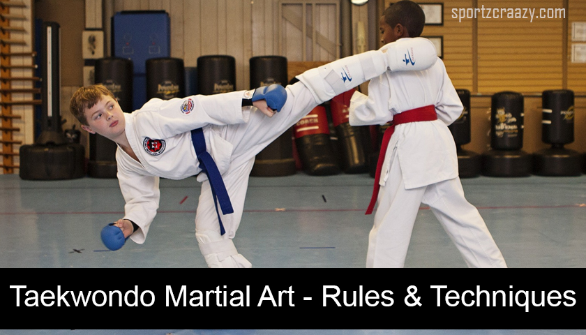 Taekwondo Martial Art – Rules & Techniques