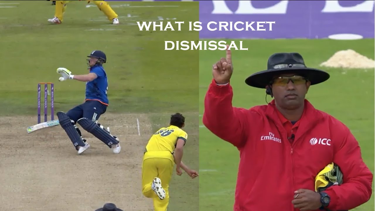 Dismissal Types In Cricket | Out Rules in Cricket | Types of Dismissal In Cricket Match