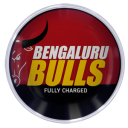 bengaluru-bulls-logo