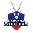 haryana-steelers-logo