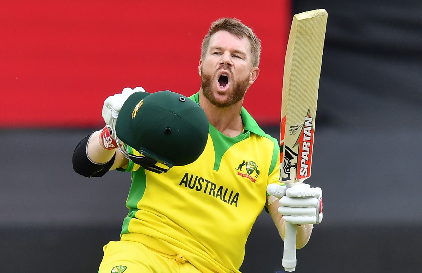 David Warner photo