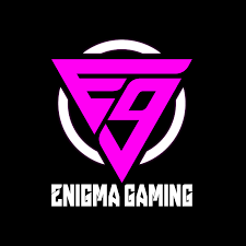 Let’s explore the world of Enigma Gaming as fans of Esports