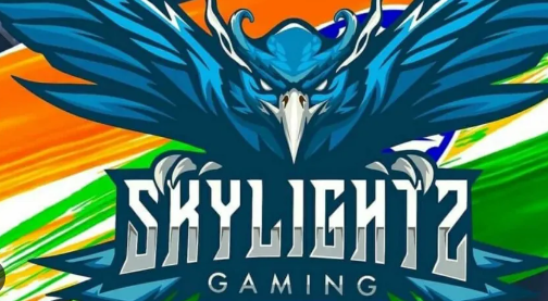 Skylightz Gaming Ceases Bgmi Operations In India